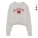 폴인퍼피 이미지