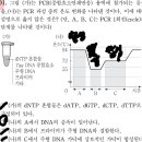 PCR 이미지