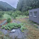 ＜컨테이너 덕리헌德里軒＞덕리에 있는 집이라 덕리헌 덕리헌 앞에는 매화나무를 심고 이미지
