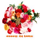 진보농산 | 삼각산 금선사