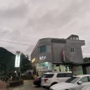 정선송어횟집 네이버블로그