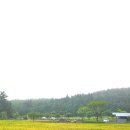 기린 캠프랜드 이미지