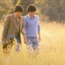 해바라기-청춘(1) 네이버블로그