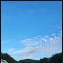 좋은하루 | 태안캠핑장 올레유 가을 풍경과 바베큐 즐기기 좋은 하루 후기