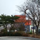 미소가인 피부과의원 이미지