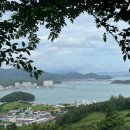 완도 밤야식 이미지