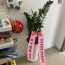 퍼니잼잼 이미지