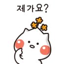 창원점포토센터 네이버블로그