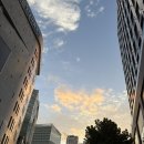 브라운피카소 | 앨리스 달튼 브라운 회고전 후기_30%할인, 오디오가이드
