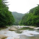 수원-0584 Daum카페