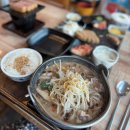 용인 롯데 프리미엄아울렛 기흥점 맛집 코코로벤또에서 규카츠먹은 내돈내산 후기(주차안내)