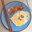 커피인류레이크 | [재스퍼 일기] D+100-103 Sunwapta Falls