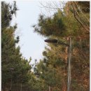 남동문화근린공원 공원화장실 | 인천 남동구 ‘논현포대근린공원’ 2026년 3월 9일