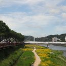 그 여름, 우주