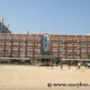 신일부동산공인중개사사무소 이미지