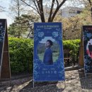 영광군푸드마켓 | [청춘]하현상 러브썸 페스티벌 후기(연세대 노천극장 시야)