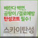 베란다는 살아있다! 습도조절이 가능한 바이오세라믹 탄성코트 (경산 펜타힐즈푸르지오 후기) 이미지