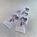 서울동물심장병원 | 고양이 아몽씨 서울동물심장병원 두번째 검진 후기·비용 | SAM 약물치료