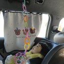 더두천 | 충북 괴산 1박 2일 힐링여행 1탄🫧(괴산자연드림파크 호텔로움, 두천매운탕, 가리티커피, 산막이옛길)