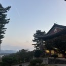 묘한인연 | 절은 인연들이 교차하는 곳, 무상사 템플스테이 후기