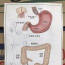 유앤장내과의원 이미지
