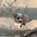 염소야놀자 | 강릉 당일치기 코스 추천, 강릉 여행 기록 | 자연아놀자 체험 후기