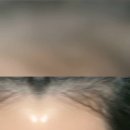 퍼펙트라인 | 라라츄 헤어쿠션 퍼펙트 헤어라인 새치커버 정수리 가르마 사용후기