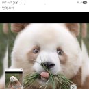 광미세탁소 이미지