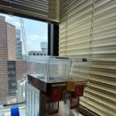 노블레스골프존 이미지