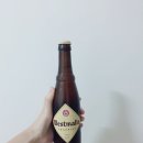 성진인터네셔널