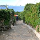 횡간도3 이미지