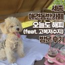 댕's프레소 | 세종 오늘도 해피 : 고복저수지 둘레길에 위치한 분위기 있는 애견동반카페