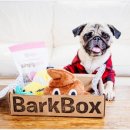 펫매니저 이미지