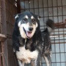 옥산2농장 이미지