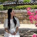 길정약국 | 코수술 무보형물 통증, 붓기 과정1~3일차 솔직후기(내돈내산)