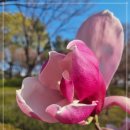 동막역 2번출구 이미지