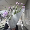 요일 | 드레스투어 준비물 도안 요일 친구 데려간 꿀팁 후기