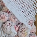 송학농원 | [농라/농라에프] 송학지기 홍로 정품 사과 구매후기