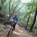 우면산7-2-9 이미지