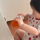 디데이앤 | 아이 성장기 필수 영양 | 내돈내산 뉴트리디데이 베이비앤키즈 오메가3 후기