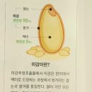 6 - 2023 아마그램 338. 이미지