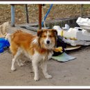 자영농장 이미지