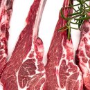 달콤이네 캠핑장 이미지