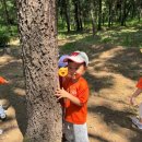 시냇가 푸른나무 유치원 이미지