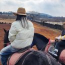 성산목장 이미지