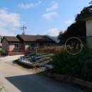 동막1리 마을회관 이미지