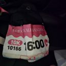 브릿지워크 | [서울특별시] 2024 한강 브릿지워크 10k 참여후기(2024.09.28.)