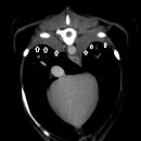대방동물병원 이미지