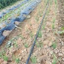 기문농장 이미지