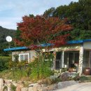 광훈농장 이미지